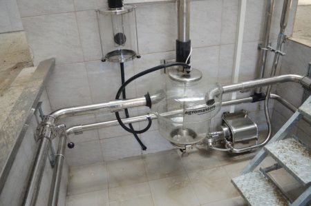 herringbone milking system