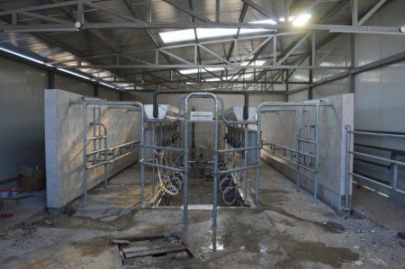 herringbone milking parlour