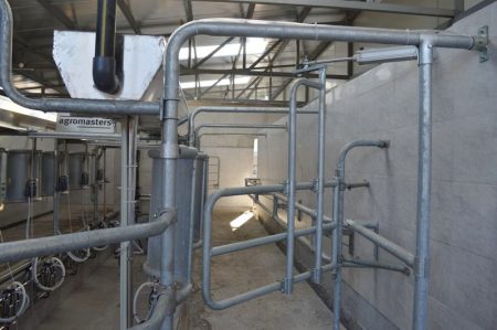 herringbone milking parlours