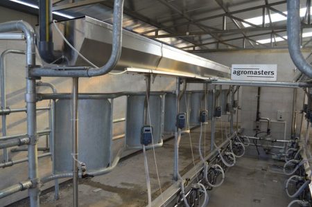 herringbone milking parlor