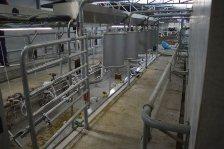 milking parlors for cows