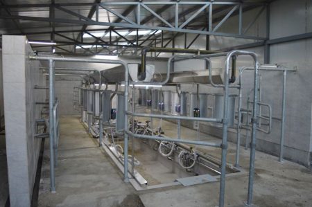 herringbone milking parlor is engineered for an optimal, comfortable milking routine.