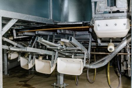Robust and Durable Rotary Platform: Secure Milking Environment