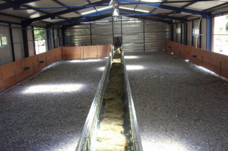 Feeding belts for sheep and goats Agromasters