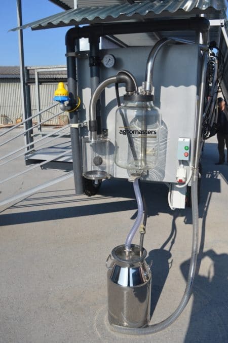 sheep milking solution