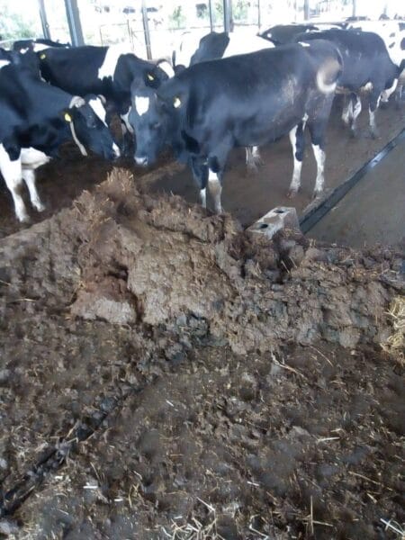 Automatic Scraper systems Agromasters