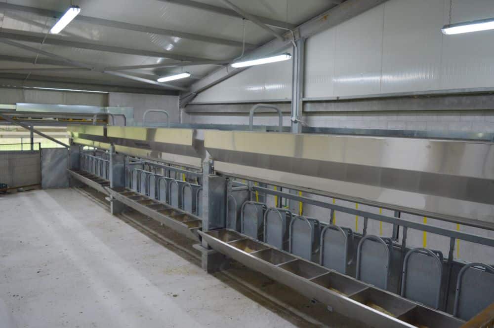 Parlor stalls for sheep and goat milking